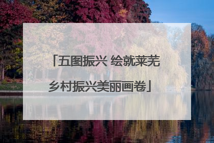 五图振兴 绘就莱芜乡村振兴美丽画卷