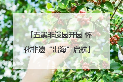 五溪非遗园开园 怀化非遗“出海”启航
