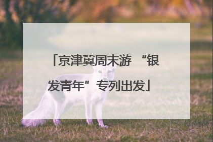 京津冀周末游 “银发青年”专列出发
