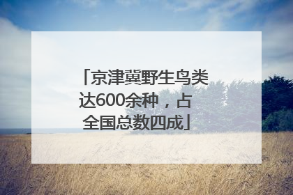 京津冀野生鸟类达600余种，占全国总数四成
