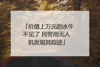价值上万元的水牛不见了 民警用无人机发现其踪迹