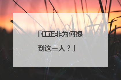 任正非为何提到这三人？