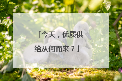 今天，优质供给从何而来？