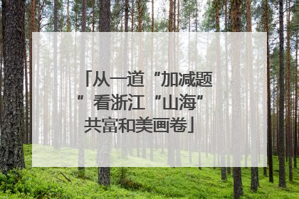 从一道“加减题”看浙江“山海”共富和美画卷