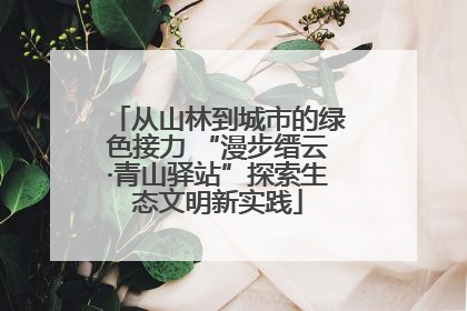 从山林到城市的绿色接力 “漫步缙云·青山驿站”探索生态文明新实践