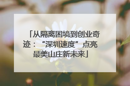 从隔离困境到创业奇迹：“深圳速度”点亮最美山庄新未来