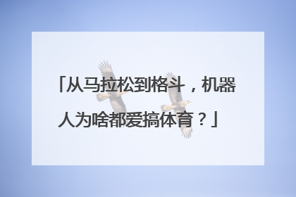 从马拉松到格斗，机器人为啥都爱搞体育？