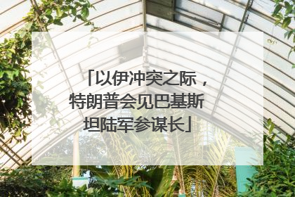 以伊冲突之际，特朗普会见巴基斯坦陆军参谋长