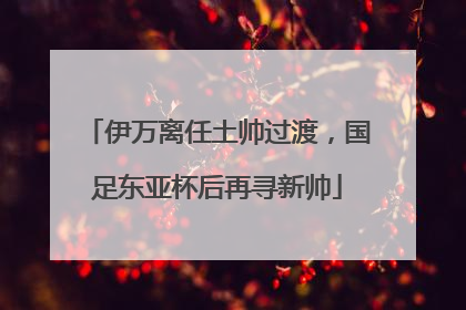 伊万离任土帅过渡，国足东亚杯后再寻新帅