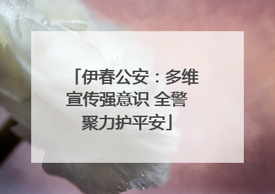 伊春公安：多维宣传强意识 全警聚力护平安