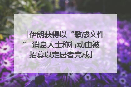 伊朗获得以“敏感文件” 消息人士称行动由被招募以定居者完成