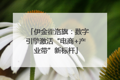 伊金霍洛旗：数字引擎激活“电商+产业带”新标杆