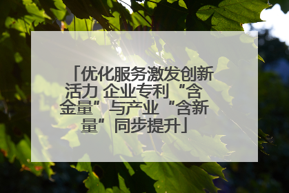 优化服务激发创新活力 企业专利“含金量”与产业“含新量”同步提升
