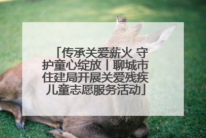 传承关爱薪火 守护童心绽放丨聊城市住建局开展关爱残疾儿童志愿服务活动