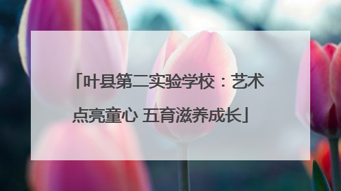叶县第二实验学校：艺术点亮童心 五育滋养成长