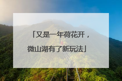 又是一年荷花开，微山湖有了新玩法