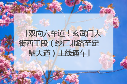 双向六车道！玄武门大街西工段（纱厂北路至定鼎大道）主线通车