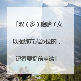 双（多）胞胎子女以捆绑方式派位的，记得要提前申请
