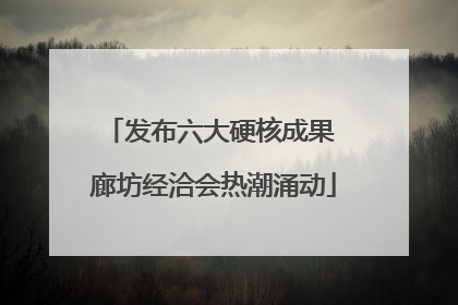 发布六大硬核成果 廊坊经洽会热潮涌动