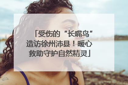 受伤的“长嘴鸟”造访徐州沛县！暖心救助守护自然精灵