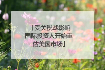 受关税战影响 国际投资人开始重估美国市场