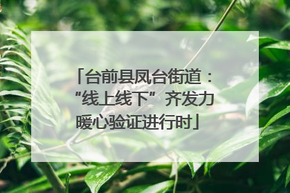 台前县凤台街道：“线上线下”齐发力 暖心验证进行时