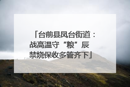 台前县凤台街道：战高温守“粮”辰 禁烧保收多管齐下