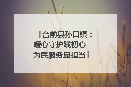 台前县孙口镇：暖心守护践初心 为民服务显担当