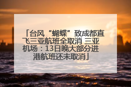 台风“蝴蝶”致成都直飞三亚航班全取消 三亚机场：13日晚大部分进港航班还未取消