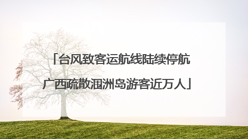 台风致客运航线陆续停航 广西疏散涠洲岛游客近万人