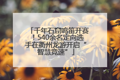 千年石窟鸣笛开赛！540余名定向选手在衢州龙游开启“智慧竞速”