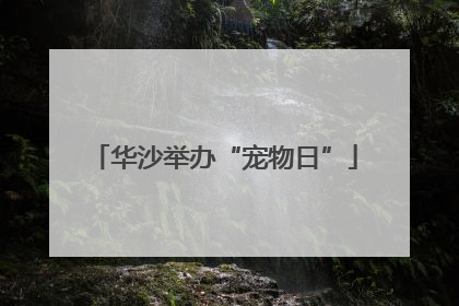 华沙举办“宠物日”