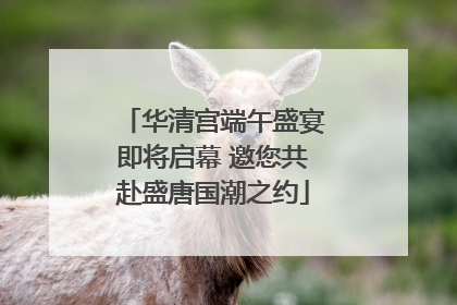 华清宫端午盛宴即将启幕 邀您共赴盛唐国潮之约