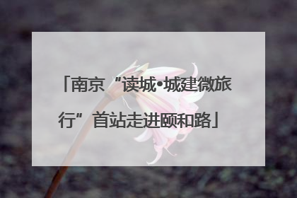南京“读城•城建微旅行”首站走进颐和路