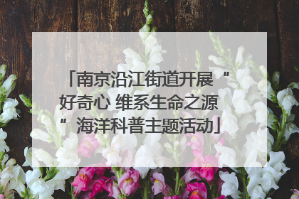 南京沿江街道开展“好奇心 维系生命之源”海洋科普主题活动