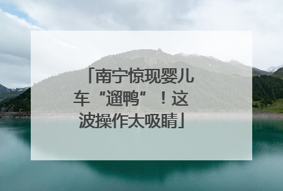 南宁惊现婴儿车“遛鸭”！这波操作太吸睛