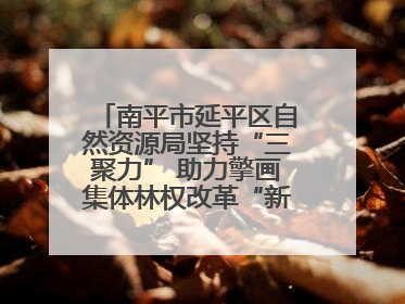 南平市延平区自然资源局坚持“三聚力” 助力擎画集体林权改革“新图景”