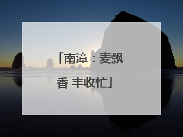 南漳：麦飘香 丰收忙