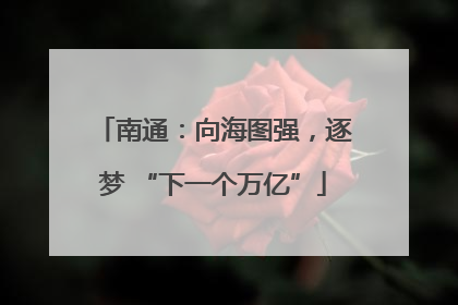 南通：向海图强，逐梦 “下一个万亿”