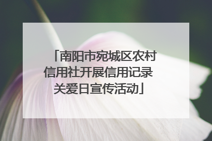 南阳市宛城区农村信用社开展信用记录关爱日宣传活动
