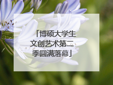 博硕大学生文创艺术第二季圆满落幕