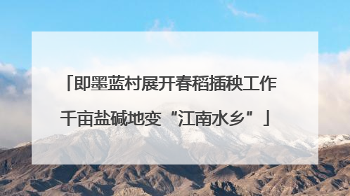 即墨蓝村展开春稻插秧工作 千亩盐碱地变“江南水乡”