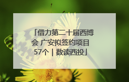 借力第二十届西博会 广安拟签约项目57个｜数读西投