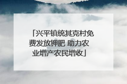兴平镇统其克村免费发放钾肥 助力农业增产农民增收