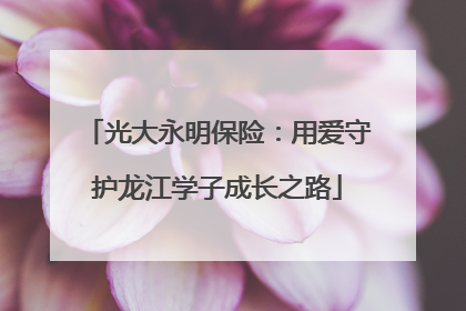光大永明保险：用爱守护龙江学子成长之路