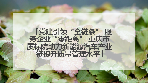 党建引领“全链条” 服务企业“零距离” 重庆市质标院助力新能源汽车产业链提升质量管理水平