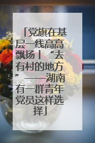党旗在基层一线高高飘扬丨“去有村的地方”——湖南有一群青年党员这样选择