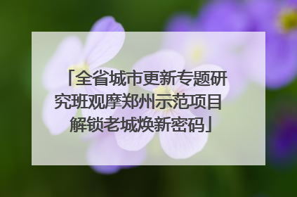 全省城市更新专题研究班观摩郑州示范项目 解锁老城焕新密码