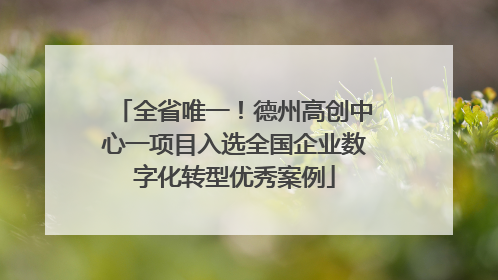 全省唯一！德州高创中心一项目入选全国企业数字化转型优秀案例