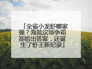 全省小龙虾哪家强？海盐这场争霸赛给出答案，还诞生了虾王新纪录